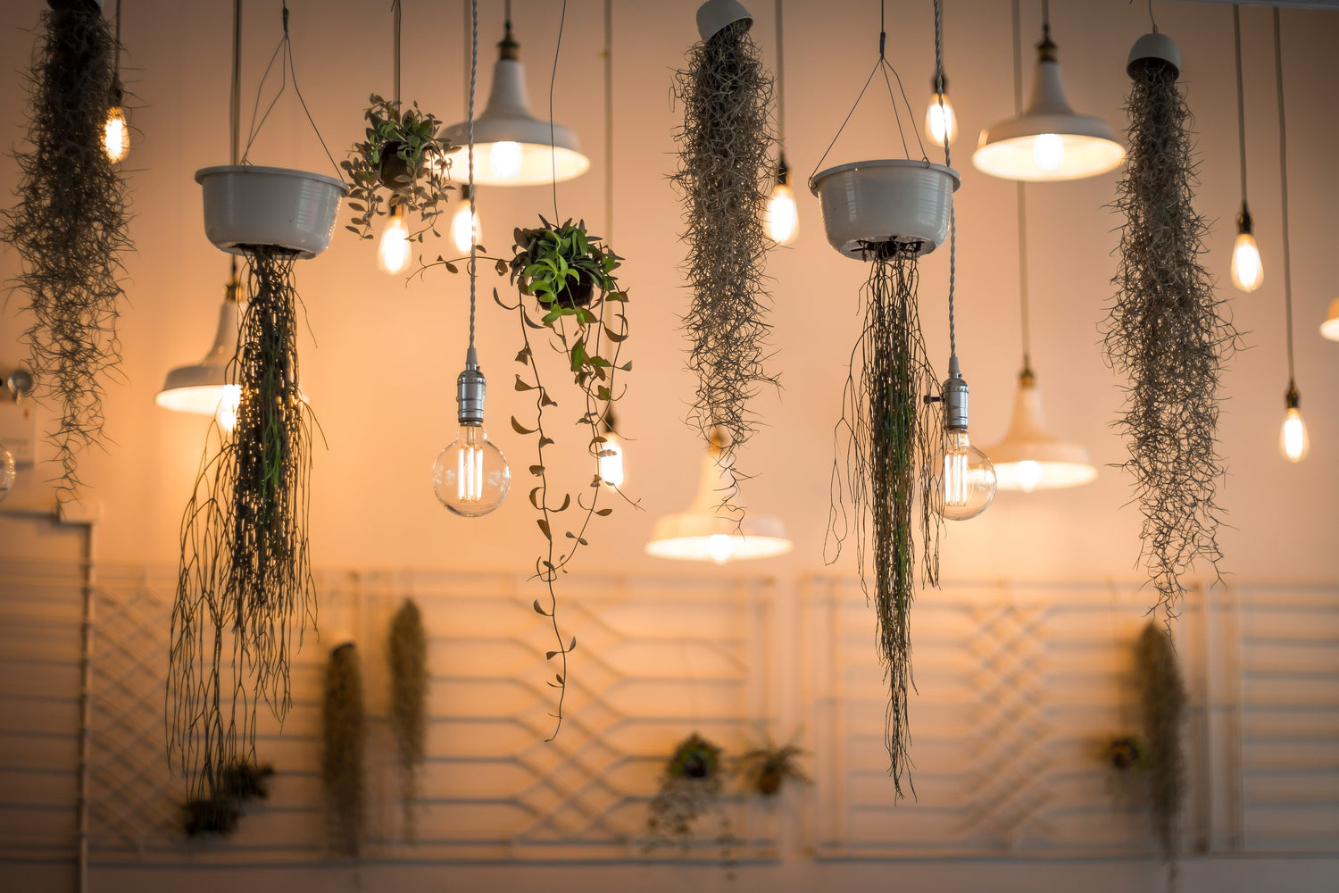 Lighting & Ambience